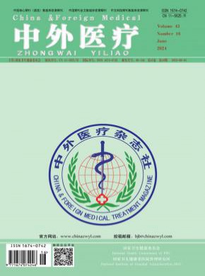 中外医疗期刊